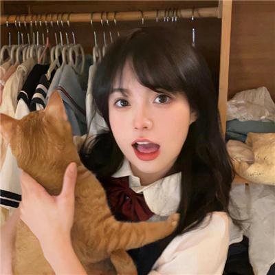 路柳墙花